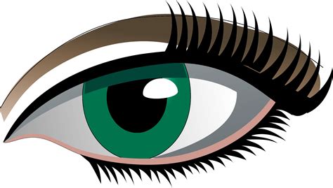 Eyelash Clip Art