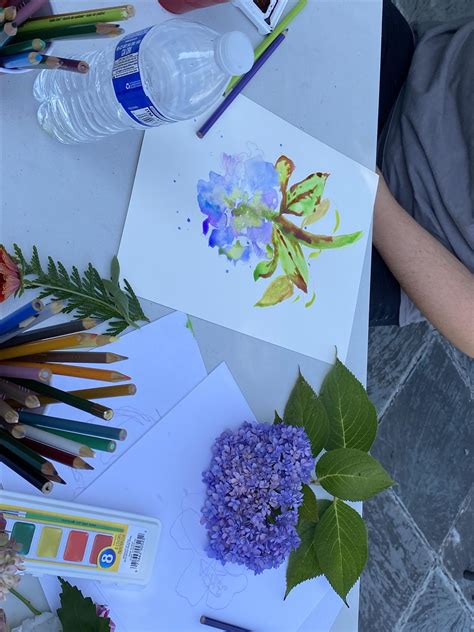 Botanical Artwork Watercolor Painting, Fairview Park, Staten Island, 9 ...