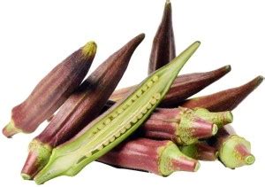 Biosnyg ®PUSA-359 Red Burgundy Okra Seed Price in India - Buy Biosnyg ...