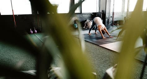 How to Program Generator to Exercize 的图像结果