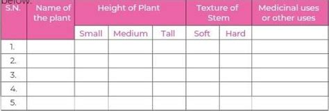 Activity W1.1 Nature Walk: Let us walk and explore nature with ...