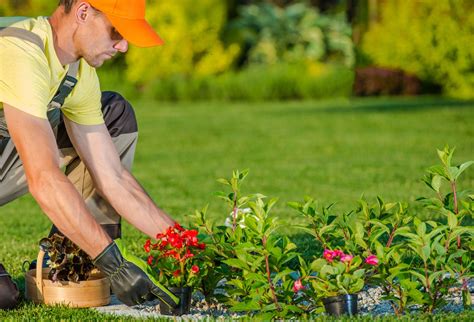 Garden Design And Landscape – Finding A Landscaper For Gardens