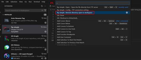 Image result for FTP Simple vs Code