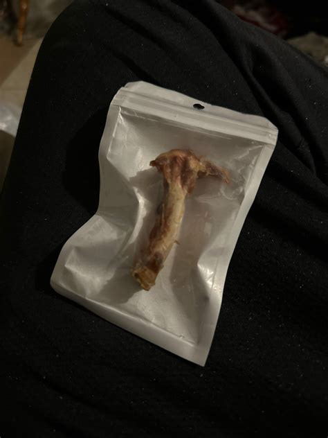 Chicken in bag : r/Cursed