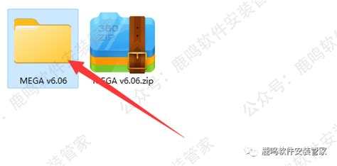 Mega Software Installation 的图像结果