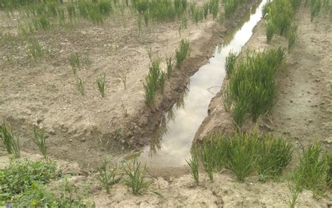 农田排水可分为哪三种类型-百度经验