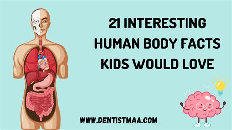 Science Human Facts at Aaron Levine blog