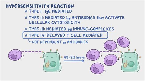 Video: Hypersensitivity reactions - Type IV: Nursing | Osmosis