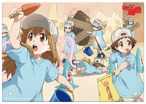 [100+] Cells At Work Wallpapers | Wallpapers.com