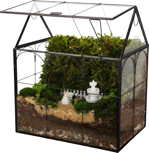 Amazon.com: D'Eco Glass House Plant Terrarium (10"x6"x8") - Indoor ...