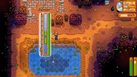 How to catch Woodskip Fish in Stardew Valley - Dexerto