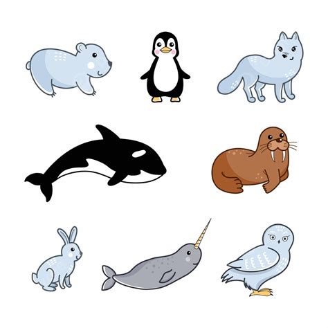 Illustrative Collection For Kids Arctic And Antarctic Animals Vector ...