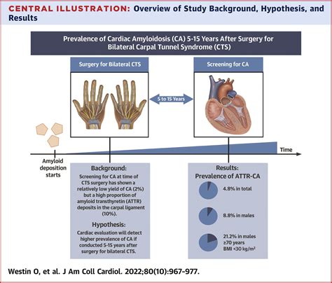 Screening for Cardiac Amyloidosis 5 to 15 Years After Surgery for ...