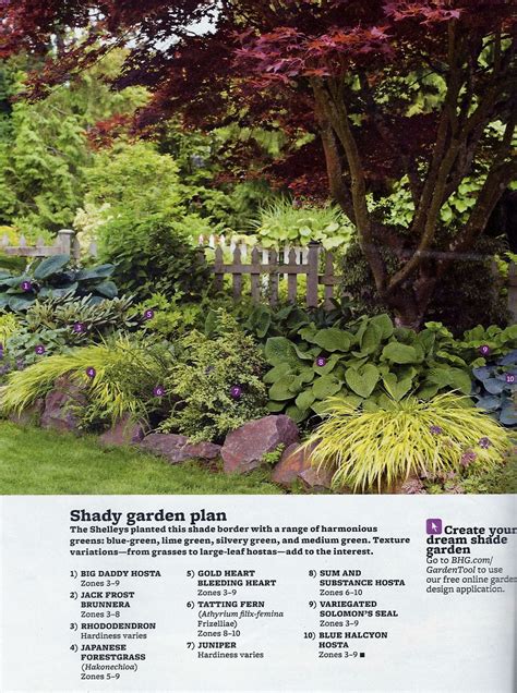 Perennial Shade Garden Plans