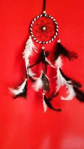 new lucky NLDC 25 Feather Dream Catcher Price in India - Buy new lucky ...