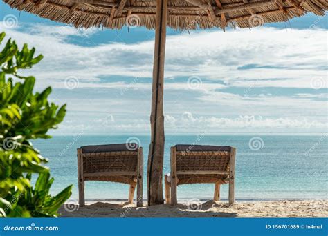 ä¸€å —æ ‘å¹²æ‰”åˆ°æµ·è¾¹çš„æµ·æ»©ä¸Šã€‚æ‰”åˆ°æ²™æ»©ä¸Šçš„æ ‘å¹² 库存图片 - 图片 包括有 节假日, 干净: 156701689