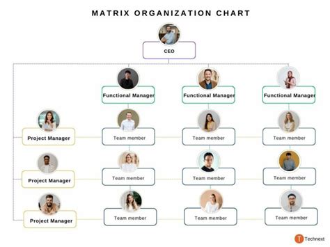 Project Management Structure 的图像结果