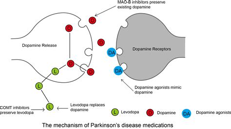 BTRX-246040 – The Science of Parkinson's - mechanism of parkinson's disease