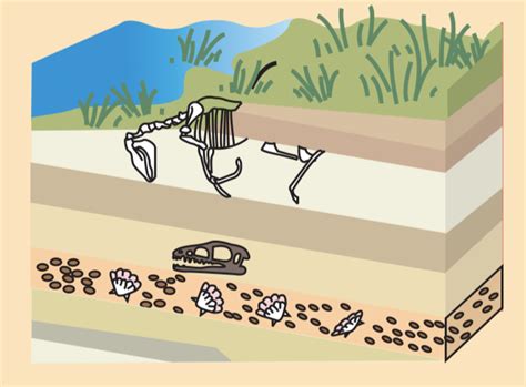 Education: Science Chapter 1 - Heredity And Evolution Science Part II ...