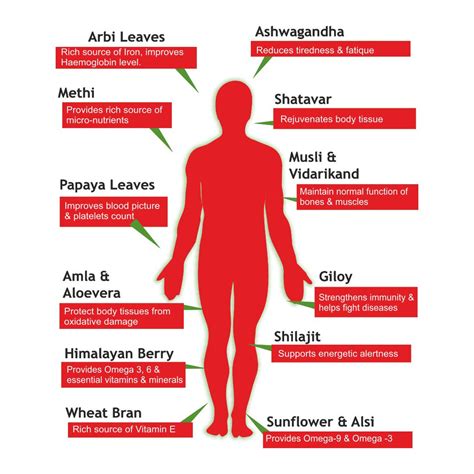 Sampurna Syrup – Dr Heilich