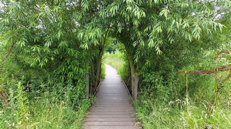 Wellbeing Walk, North Road (A638), DN22 8RQ East Retford, United ...