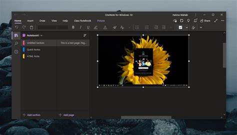 Image result for OneNote for Windows 10 Issue