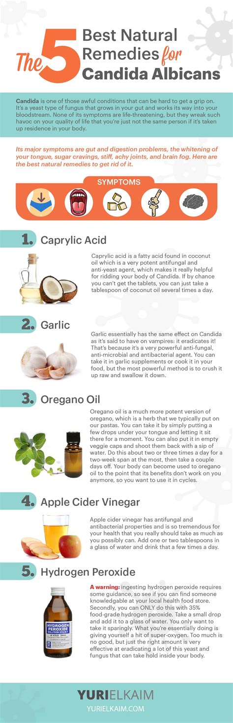 Bildergebnis für candida paragusa