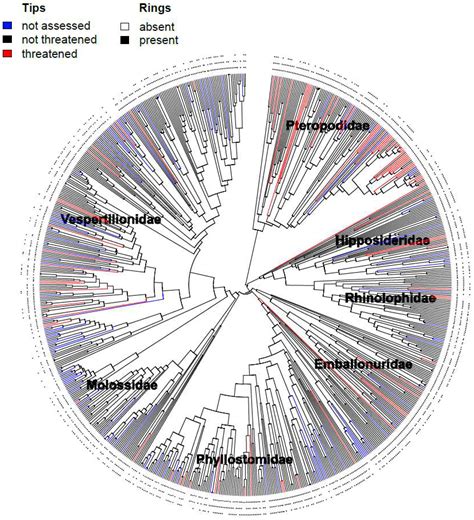 Predicting Extinction Risk for Data Deficient Bats