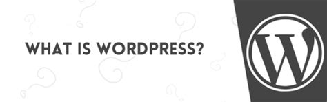 A Guide on How To Make A Sports Website Using WordPress