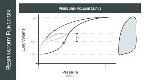 Work of Breathing, compliance and resistance