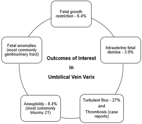 Perinatal Outcomes and Management of Umbilical Vein Varix: A Comprehensive Review of 392 Cases