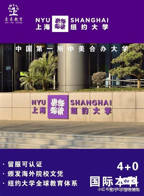 上海纽约大学迎来成立以来人数最多的一届新生-教育频道-东方网