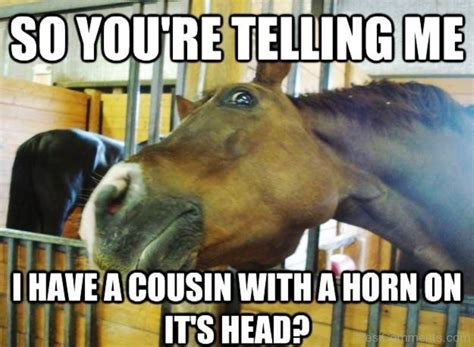 100 Most Funniest Horse Memes - Funny Pictures – DesiComments.com