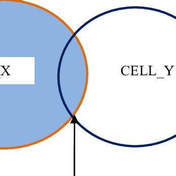 Cellular Model Simulation 的图像结果