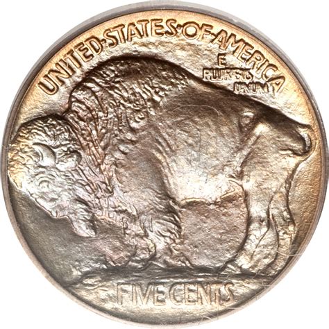 Five Cents Buffalo Coin