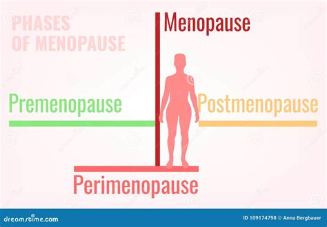 Stages of Menopause Infographic Stock Vector - Illustration of design, fertility: 109174798
