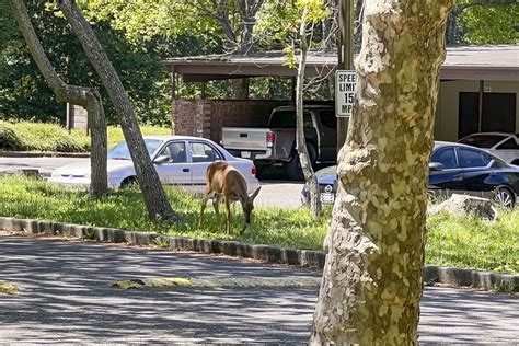 Old Mill Village - 2100 Electric Ave | Bellingham, WA Apartments for ...