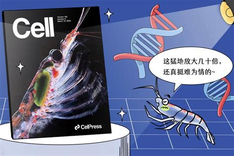 Cell封面高清 的图像结果