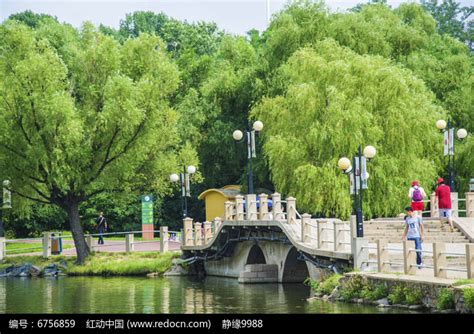 鞍山二一九公园劳动湖上双孔石桥与树木高清图片下载_红动中国