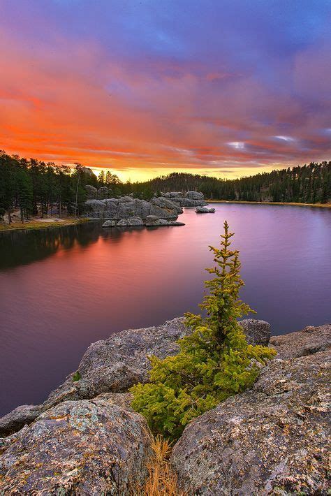 Sylvan Lake South Dakota Campground: Campgrounds & RV Parks