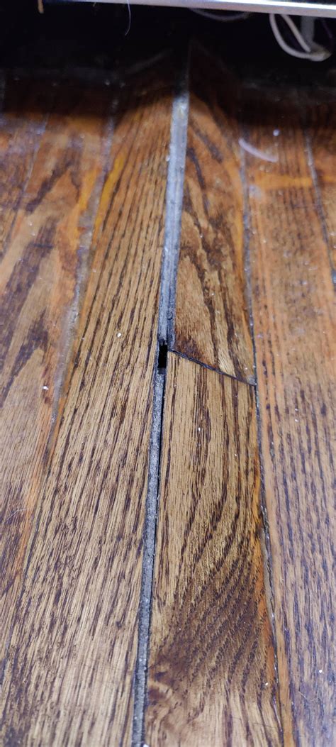 Hardwood floor peaked/buckled. Anything I can do to repair it? : r ...