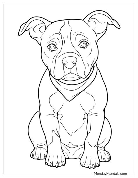 20 Pitbull Coloring Pages (Free PDF Printables)