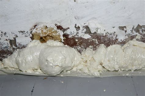 Expanding Foam Tutorial 的图像结果