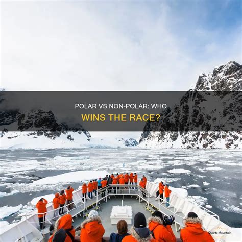 Polar Vs Non-Polar: Who Wins The Race? | QuartzMountain