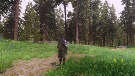 Best tree mod skyrim - soswings