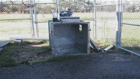 After SPCA campaign, Ohio bans gas chambers to euthanize pets | wtol.com