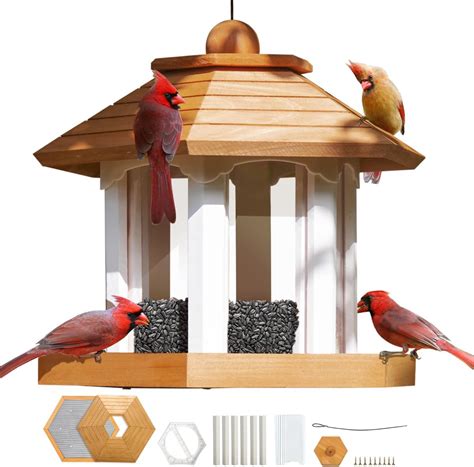 Amazon.com : Large Gazebo Bird Feeders for Outside Clearance - Bird ...