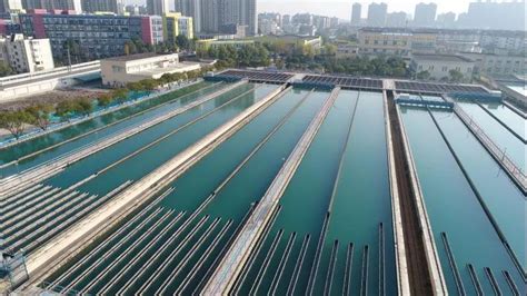 “优质水”是如何诞生的？深圳水务集团来揭秘_中国水星网