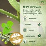 Giloy Ghan Vati – Natural Immunity Booster & Health Supplement
