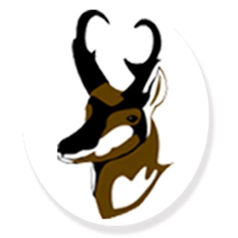 Home | Seligman Unified School District #40